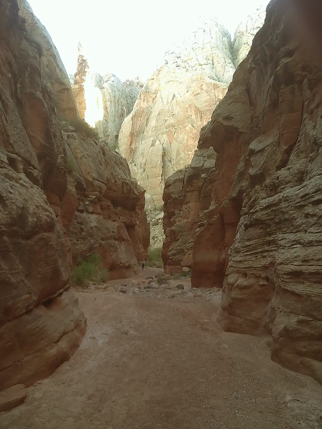 Spring Canyon